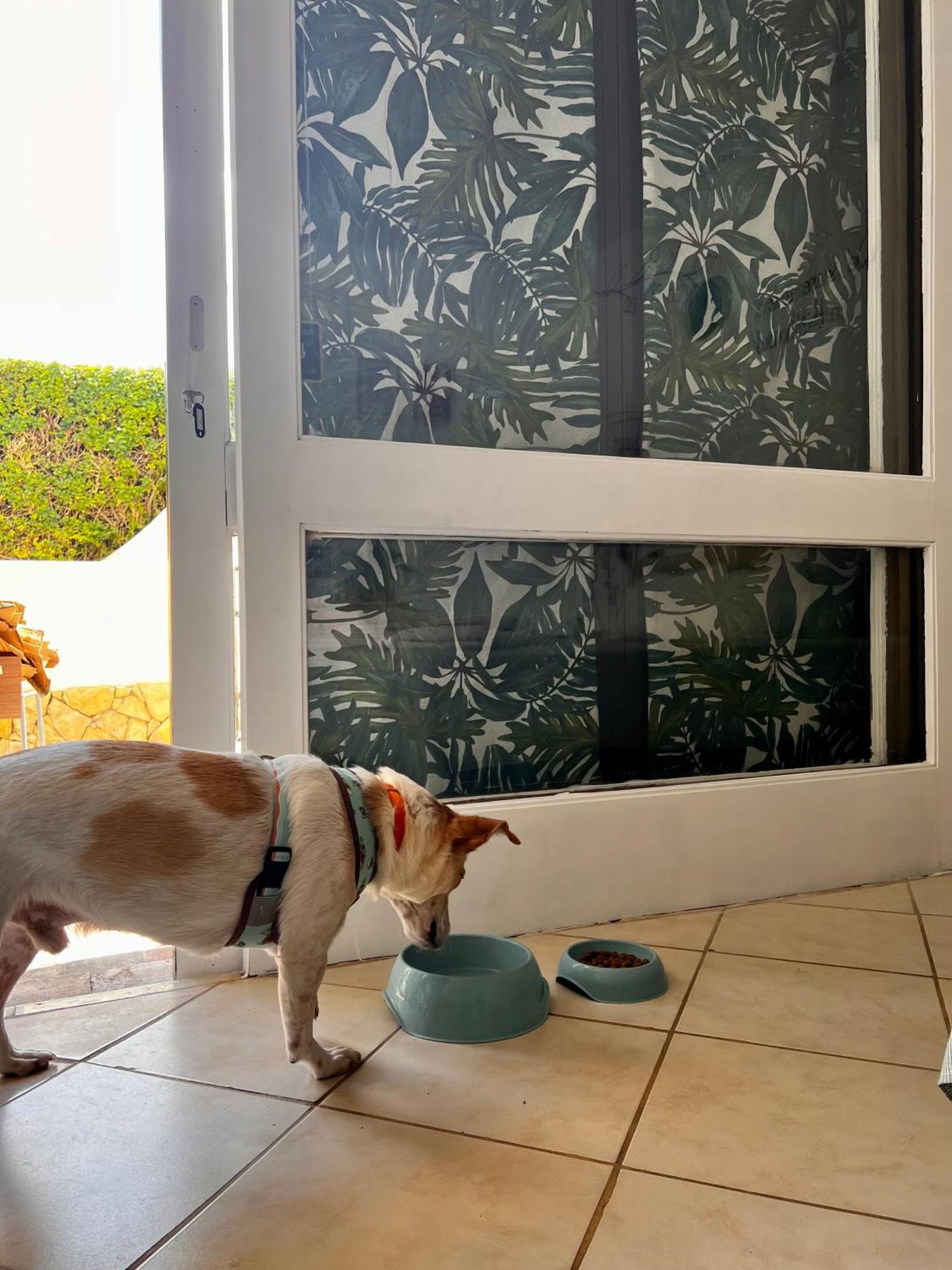 Studio Albufeira Jardim T0 Exterior photo